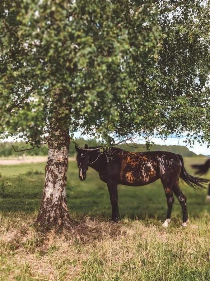 Stamerienas Apartamenti Экстерьер фото